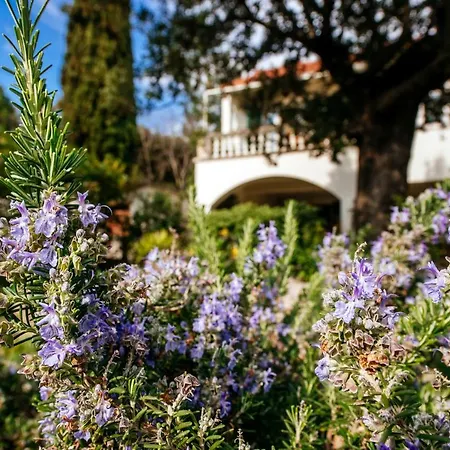 The White House Sukošan